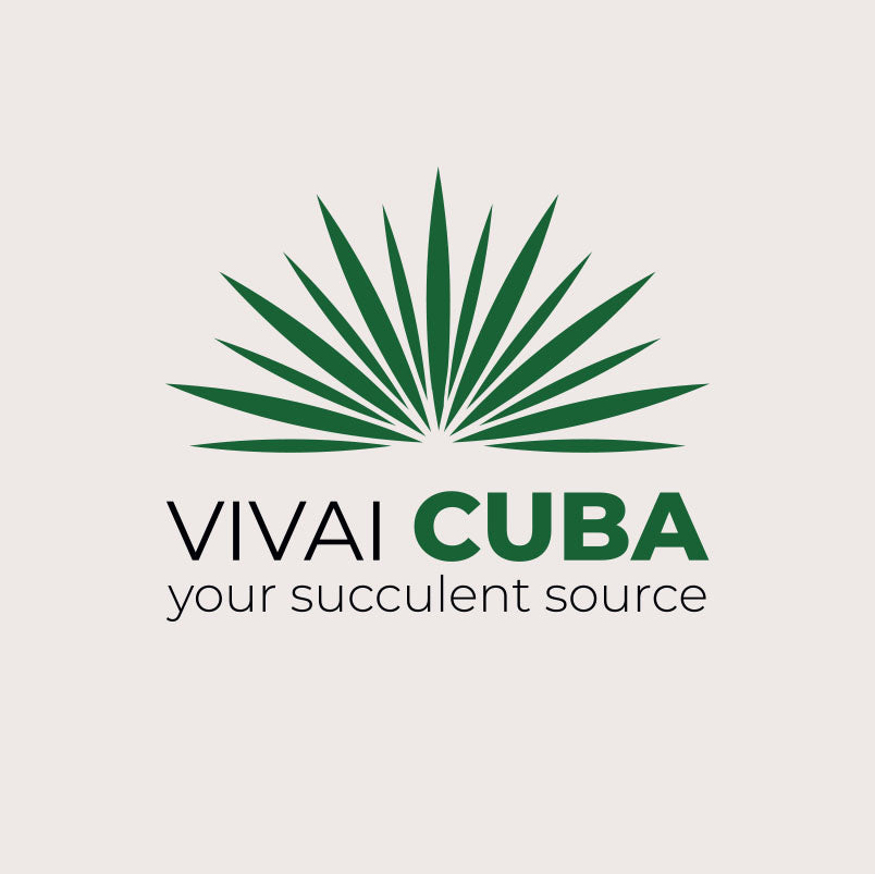 vivai cuba 